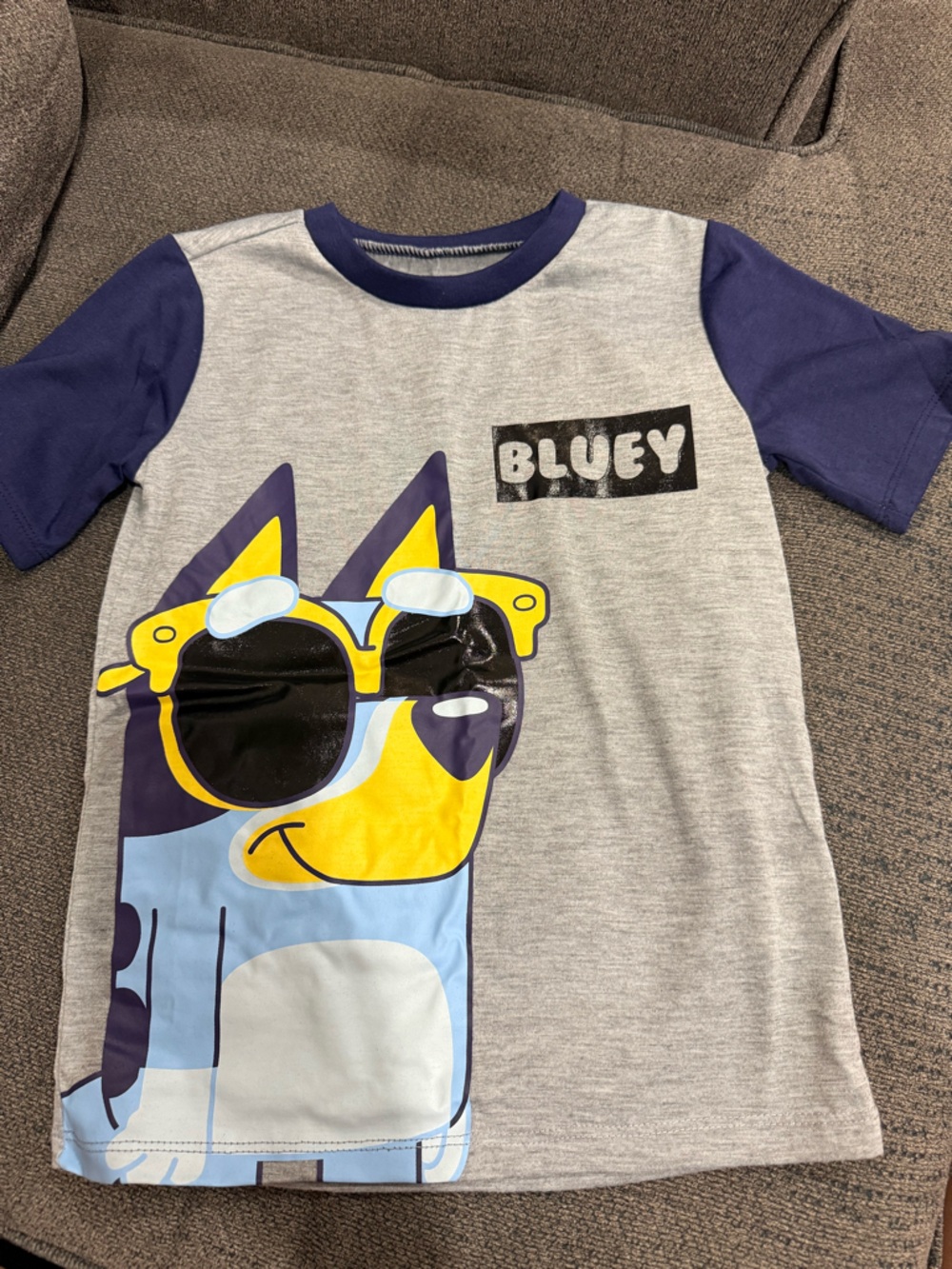 Bluey Short Sleeve Graphic Tee for Kids - Grey & Navy